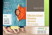 Effective Carpet Cleaning Service from Jenas Carpet Cleaning Company