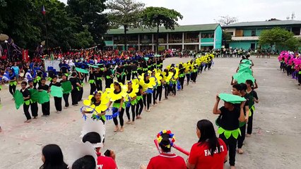 TSIS @10 Panagbenga Festival