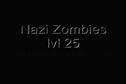 CoD5 WaW Nazi Zombies lvl 25