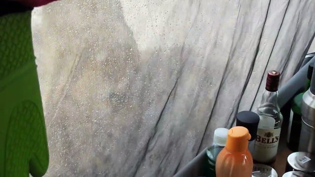 Des lionnes lèchent une tente occupée