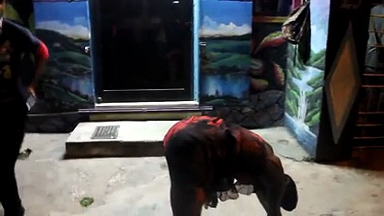 Des danses comme ça on en voit seulement en Jamaïque