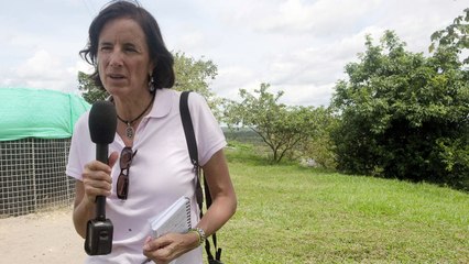 Jornalistas desparecem na Colômbia