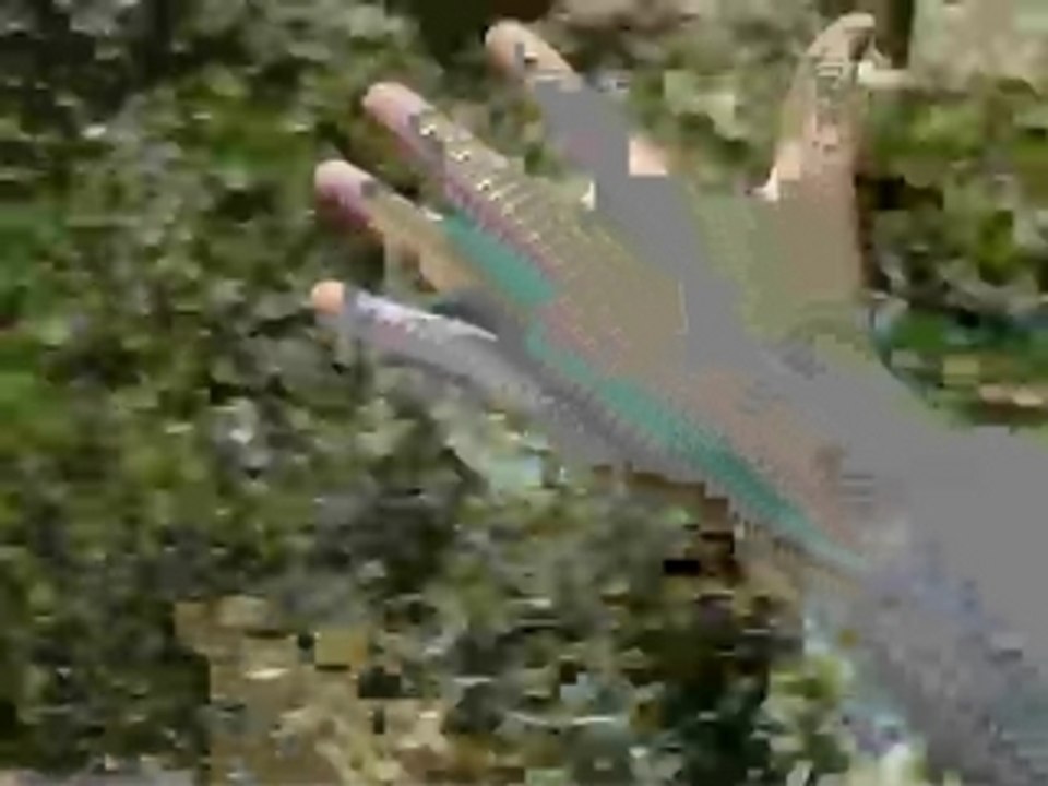 HAND0008