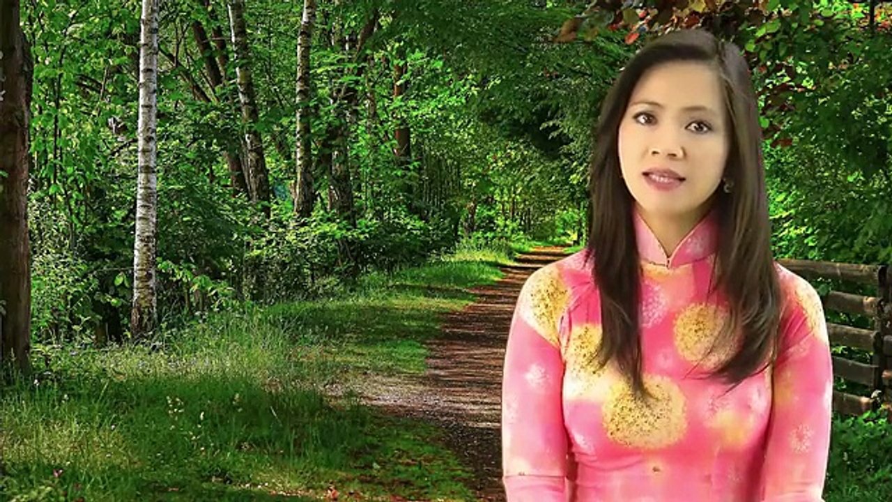 Suy niệm với ĐTC Phanxicô - 22_28.10.2015 - Câu chuyện “Hãy đi và đừng phạm tội nữa”