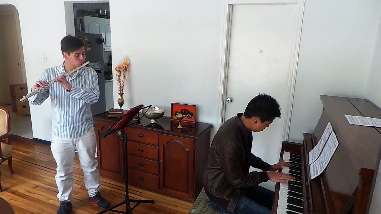 Beethoven - Sonate Op  17 for Horn and Piano adt Flute & Piano