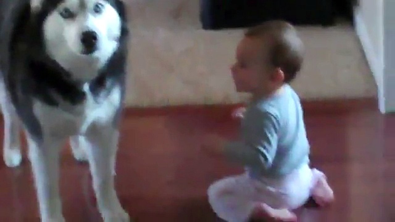 Dog_imitates_baby