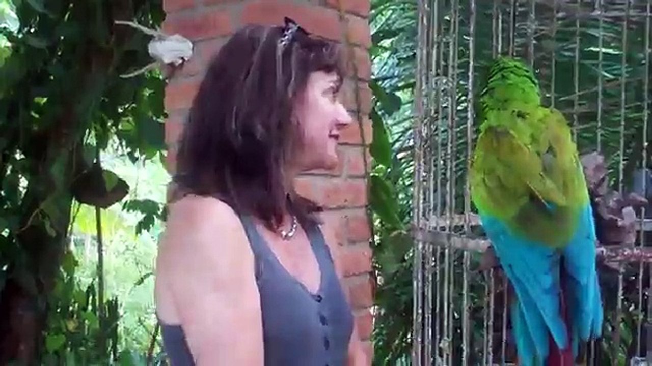 Funniest_Parrot_Video_Ever