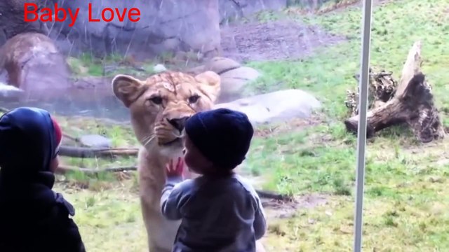 Animals Try To Attack Kids at the zoo - Funny Animals Videos