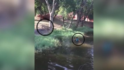 Man Jumps Into lions' Cage for A Handshake