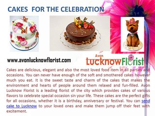 Best Cake Ideas to Surprise Your Loved Ones in Lucknow