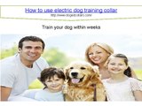How to use electric dog training collar