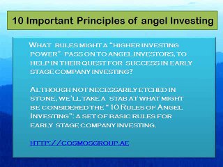 10 Important Principles of angel Investing - Cosmos Group