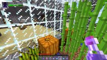 Minecraft  POPULARMMOS CASTLE HUNGER GAMES   Lucky Block Mod   Modded Mini Game