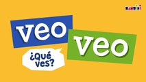 Veo, veo. ¿Qué ves? - 01 - BAMBINI