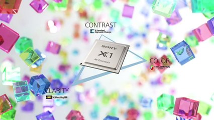 Processeur Sony Bravia 4K X1
