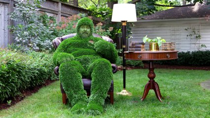 Combating Lawn Diseases