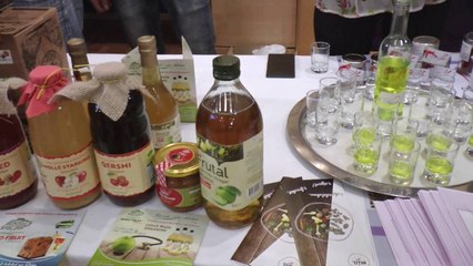 Report TV - "Kuzhina e Bregdeteve' sillet në Shqipëri nga Kompania Gourmeando