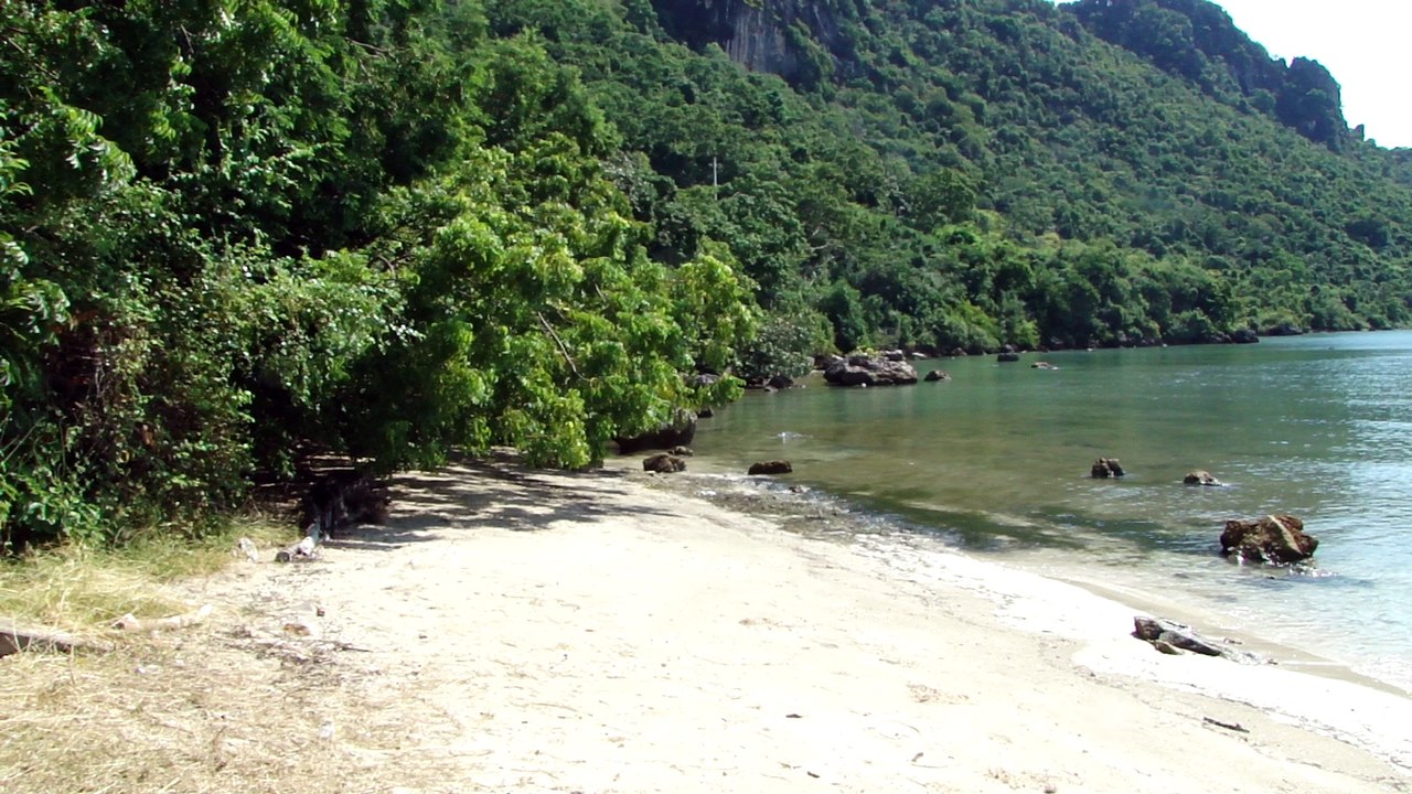 Mer