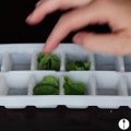 Ice Cube Tray