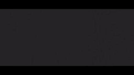 Aladdin & Hercules: De wraak van de 3 biggetjes (Neuman filmbruh)