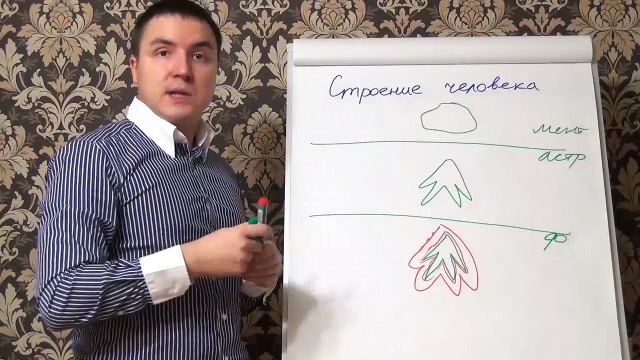 Евгений Грин — Строение человека