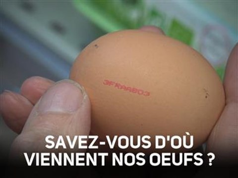 L214 dévoile l'horrible vie des poules pondeuses