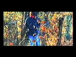 10 COMANDAMENTI-FABRIZIO DE ANDRE'