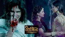 Shivanya and Sesha Kill Nevla Kabir To Save Ritik | Naagin | Colors
