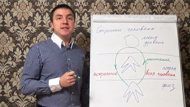 Евгений Грин — Строение человека