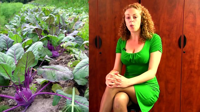 Easiest Diet & Weight Loss EVER! Lose Weight Healthy Dieting Tips Psychetruth Nutrition Info