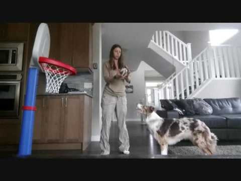 This Dog Has Mad Basketball Skills