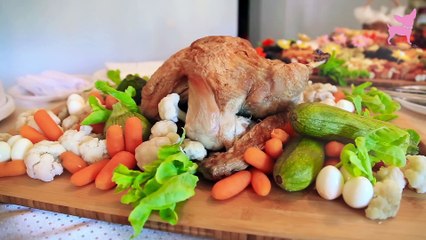 Cute Chihuahua Dog Race and Party