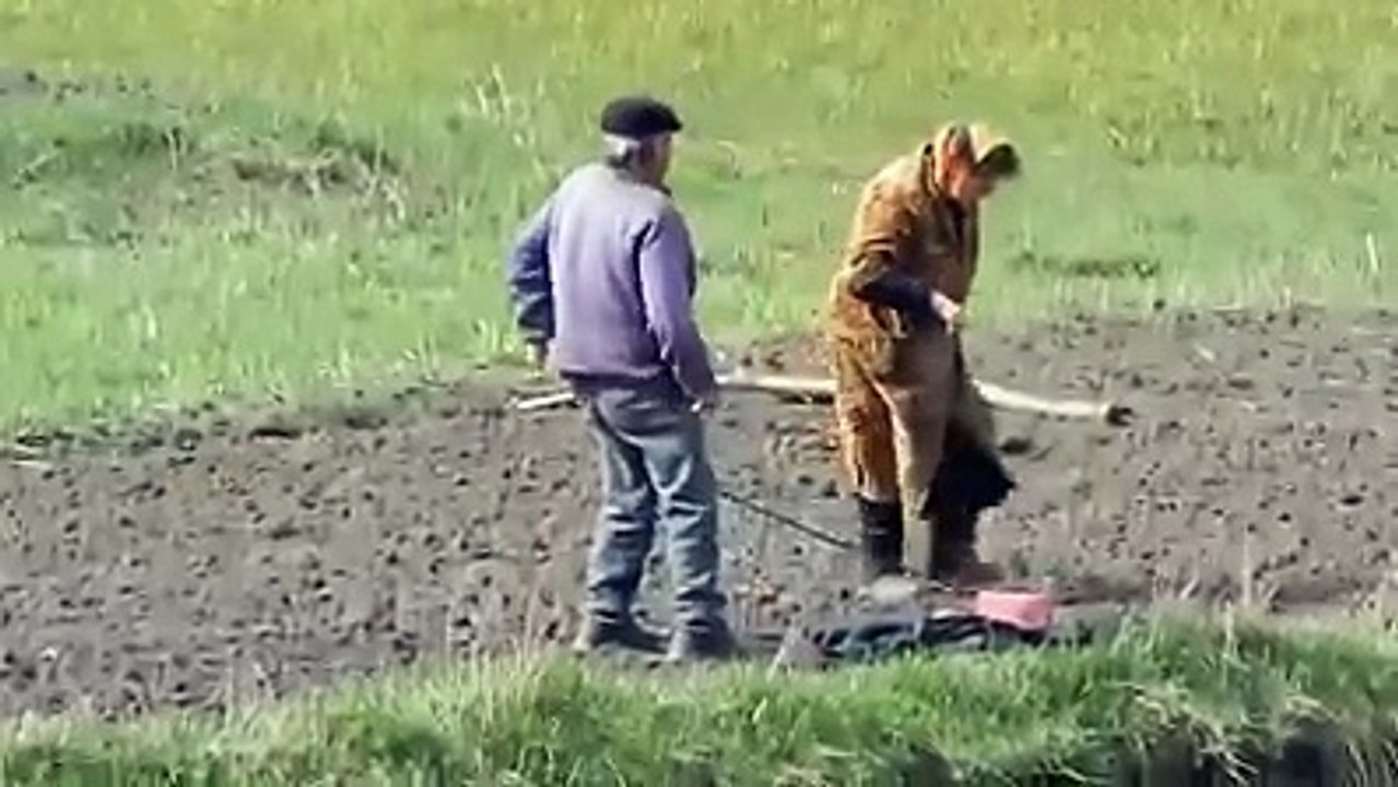yoruma gerekkalmayan video