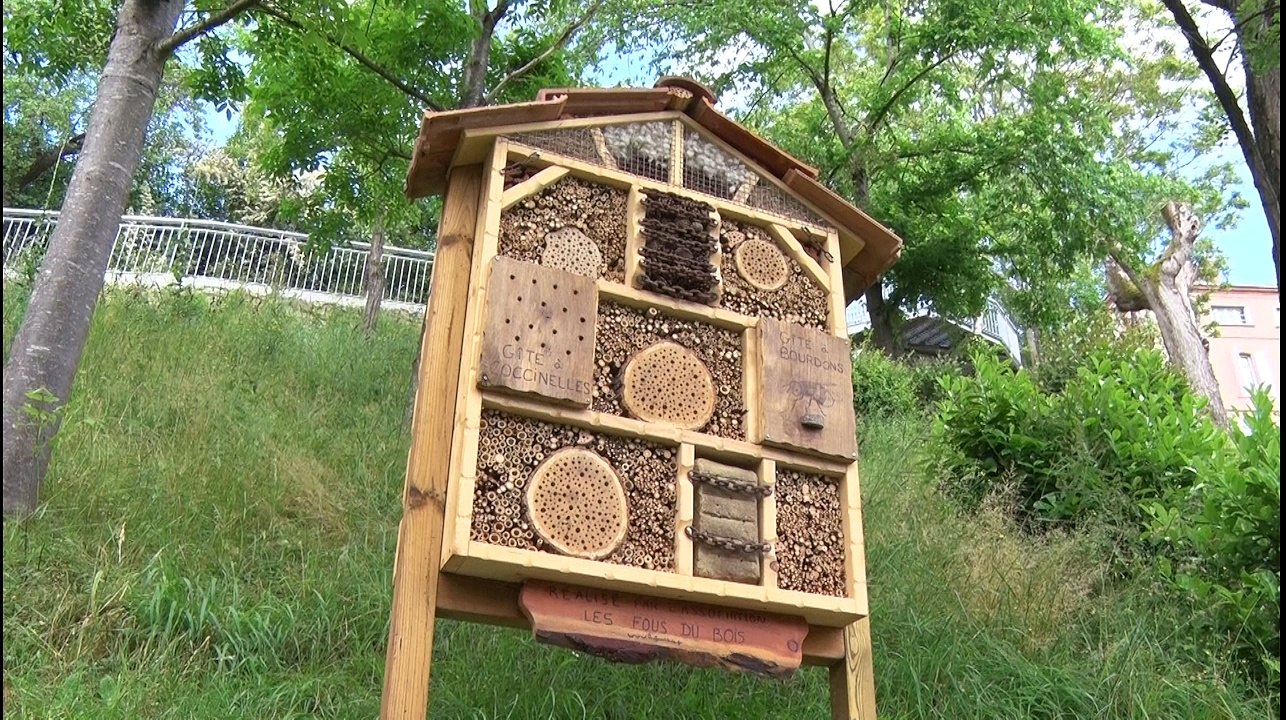 Le gite et le couvert pour les insectes