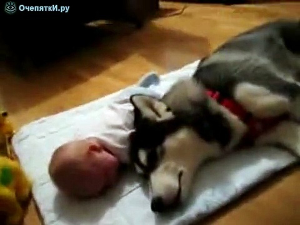 Собачья колыбельная малышу