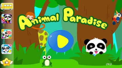 Feeding Baby Animals! Baby Video Free Mobile Baby Panda Kids Game