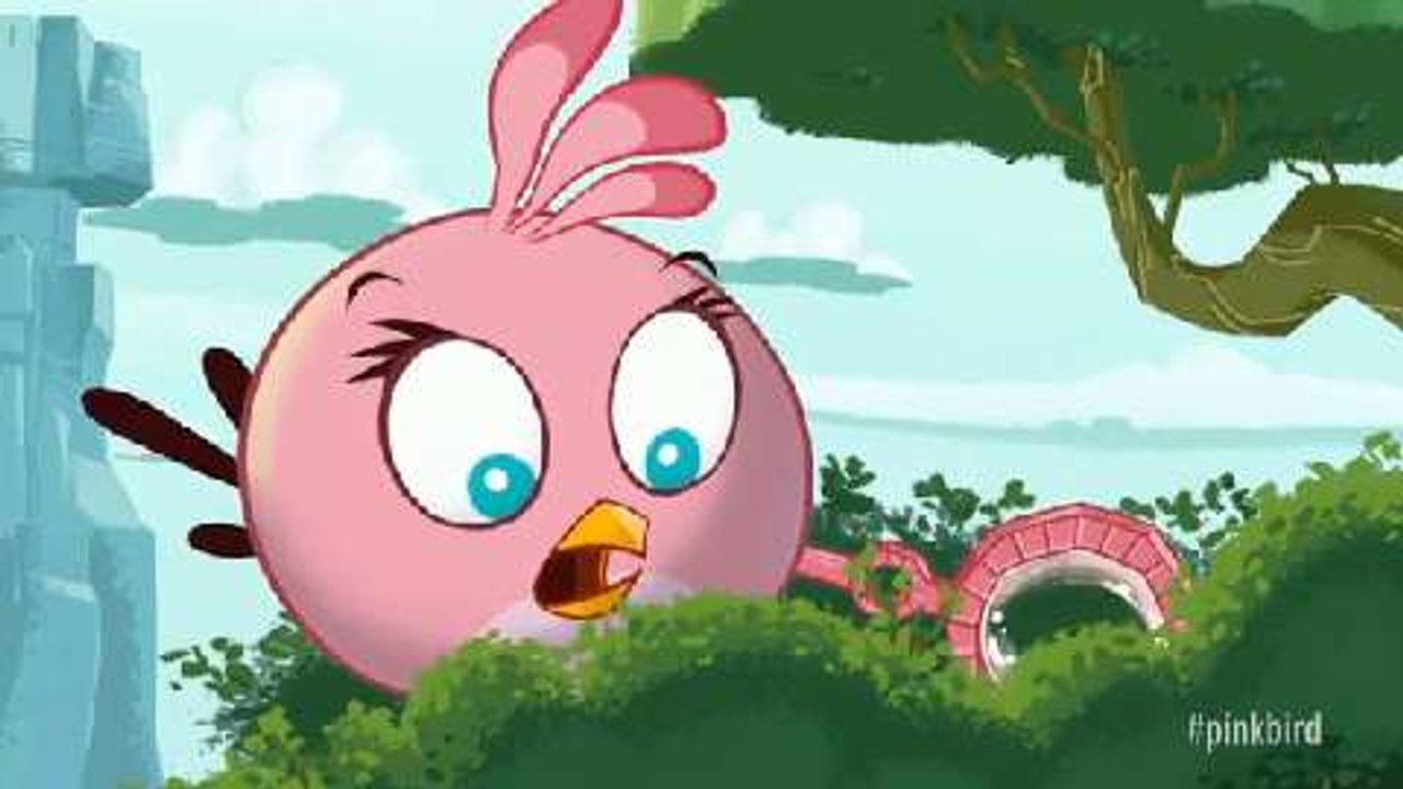 Pink Bird - Nachwuchs bei den Angry Birds