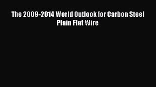 Read The 2009-2014 World Outlook for Carbon Steel Plain Flat Wire Ebook Free