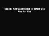Read The 2009-2014 World Outlook for Carbon Steel Plain Flat Wire Ebook Free