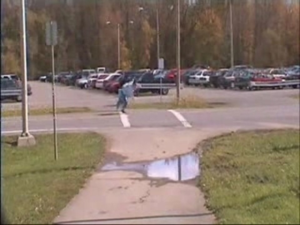 Busdodge