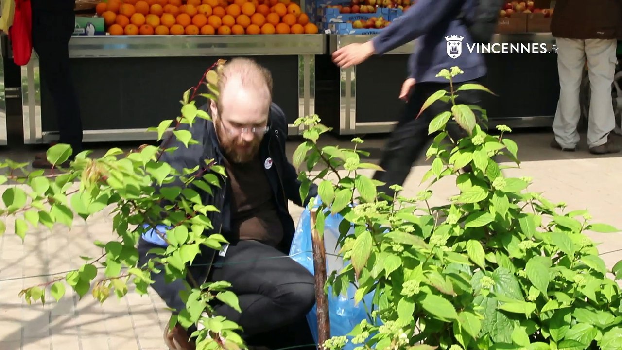 Vincennes durablement