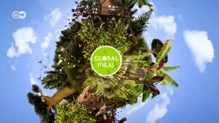 Marruecos: el macaco de Gibraltar, en peligro | Global 3000