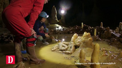 Grotte de Bruniquel : plongez au cœur de l'Humanité