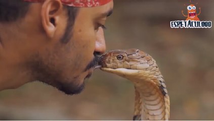 Beijei uma cobra