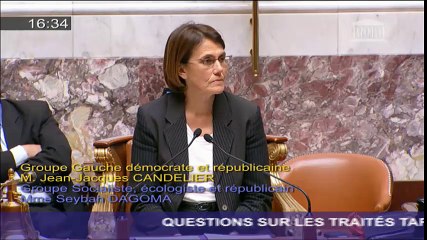 Seybah Dagoma - Question sur le TiSA - 25 mai 2016