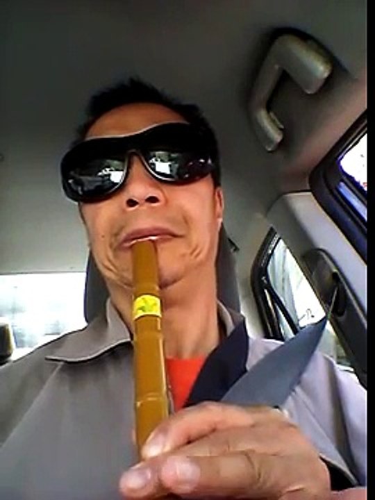 Plastic Danso COVER 幽靈公主 Princess mononoke hime ost in D and G