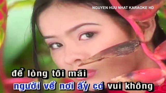 Karaoke Tâm Sự Đời Tôi Trường Vũ Beat Chuẩn