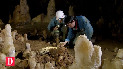 FLASH INFO - Mercredi 25 mai 2016 - L'incroyable découverte sur l'Humanité