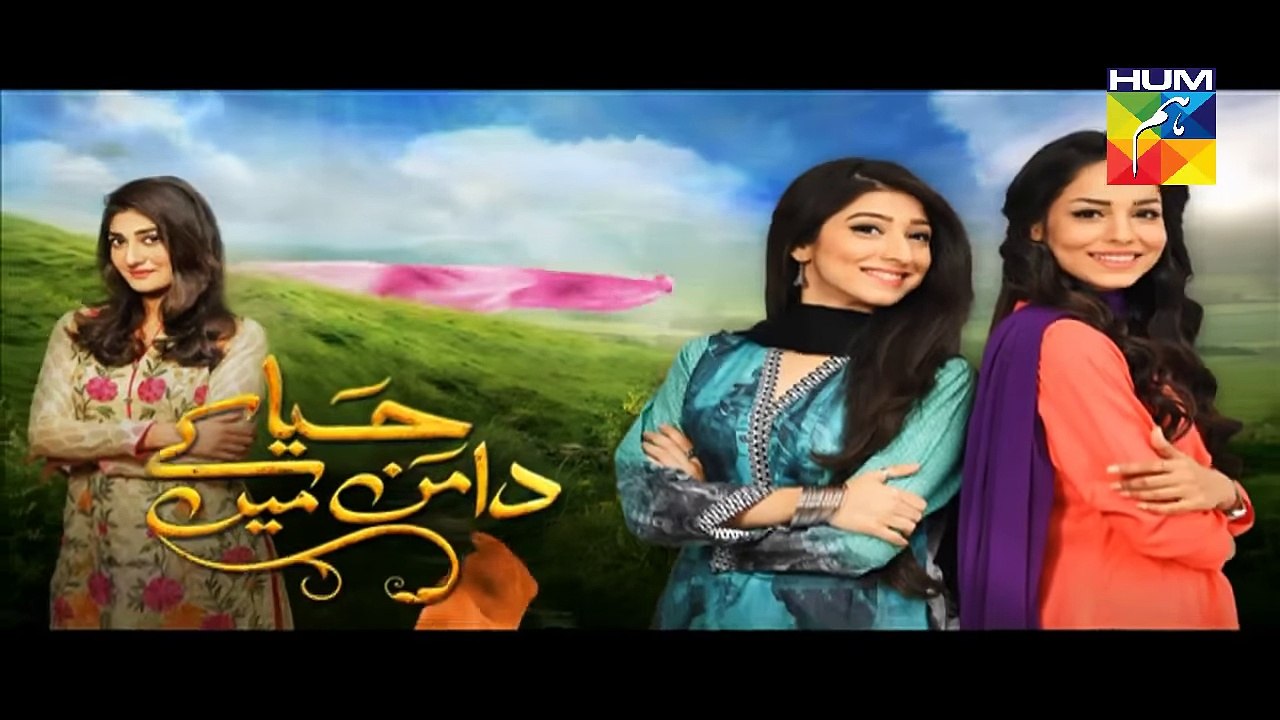 Haya Ke Daman Mein Episode 41 Promo
