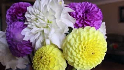 Honey and lemon water reduces your waight in short time: